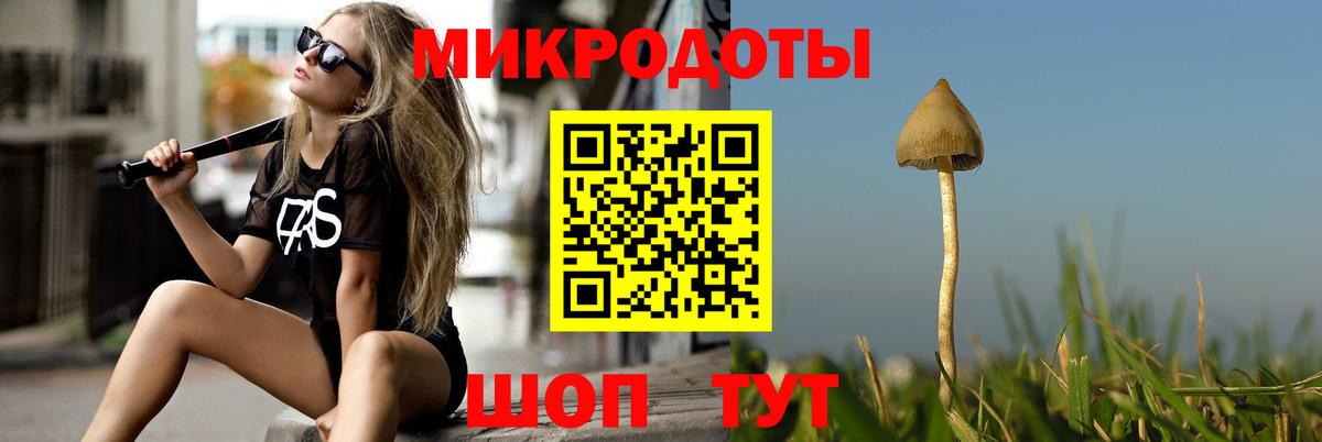 Псилоцибиновые грибы Cubensis  Вход с VPN  Псилоцибиновые грибы Psilocybine cubensis  Миллерово 