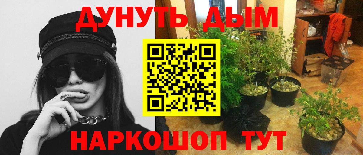 Бошки марихуана Amnesia  Шишки марихуана конопля  Вход с VPN  Конопля SATIVA & INDICA  Миллерово 